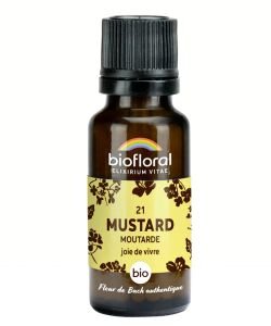 Moutarde - Mustard (n°21), granules sans alcool